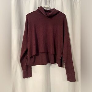 American Eagle Longsleeve Turtle Neck